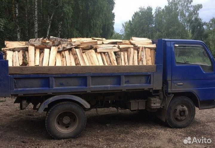 Дрова береза