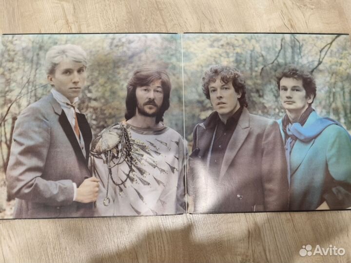 Пластинки виниловые