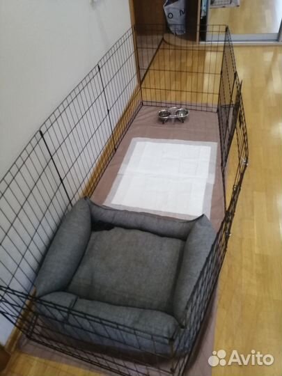 Вольер для собак