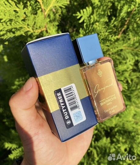 Тестер Marc-Antoine Barrios ganymede