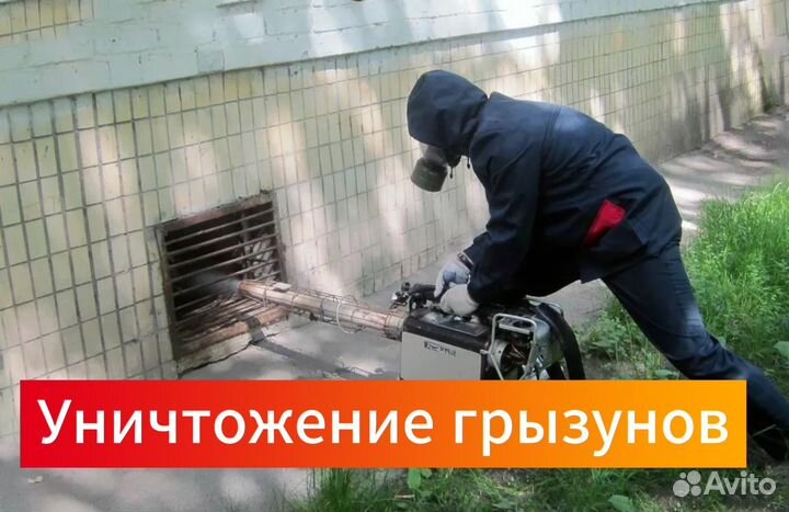 Уничтожение насекомых клопов тараканов