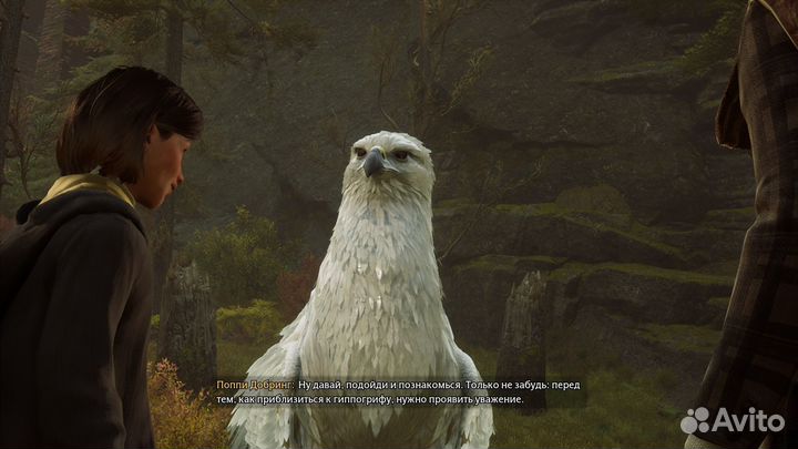 Hogwarts Legacy Digital Deluxe Edition PS5