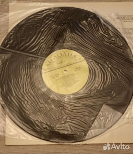 Виниловые пластинки