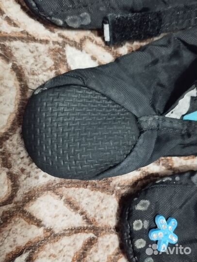 Ботинки для маленьких собак