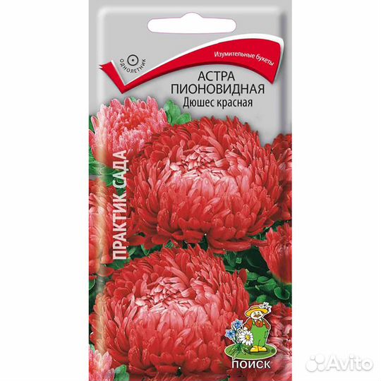 Астра Дюшес красная Пионовидная