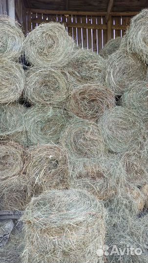 Сено в мини рулонах