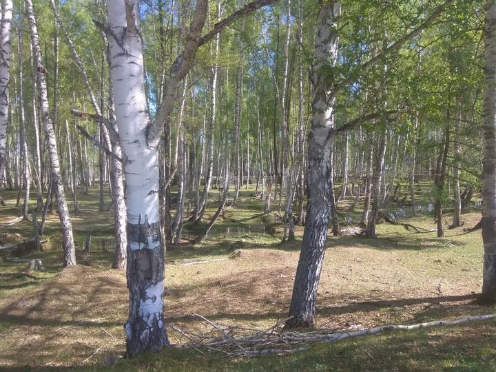 Участок 18 сот. (ИЖС)