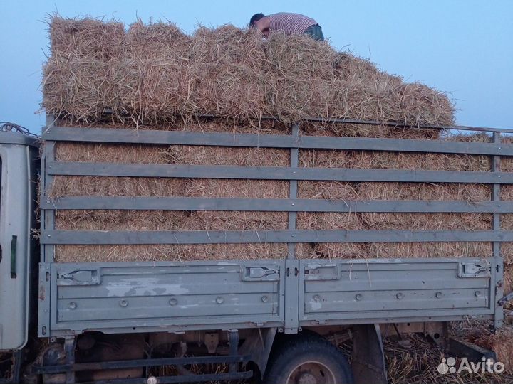 Солома рисовая