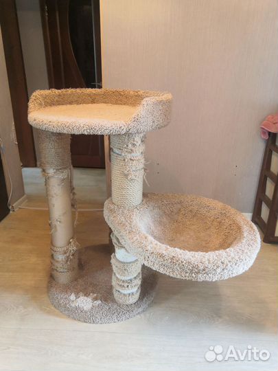 Когтеточка для кошек бу