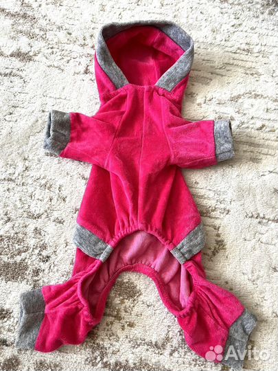 Одежда для собак