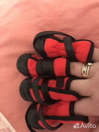 Ботиночки на мелких пород собак