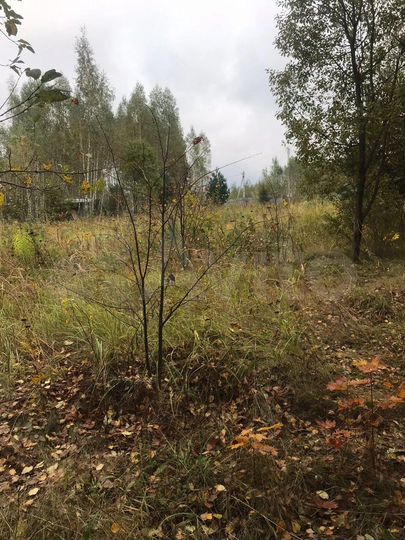 Участок 15 сот. (ИЖС)