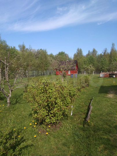 Дом 20 м² на участке 15,5 сот.