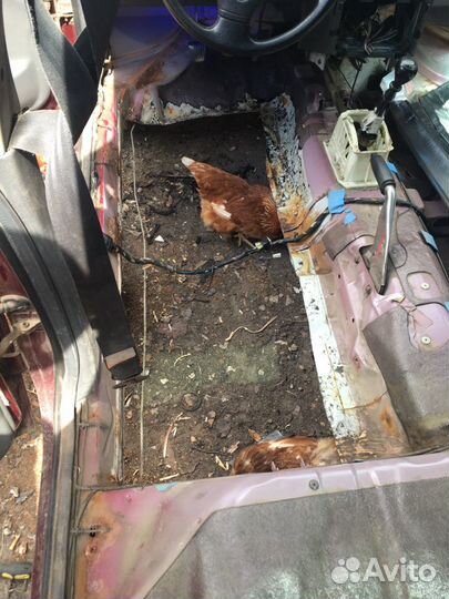 Мастер сантехник