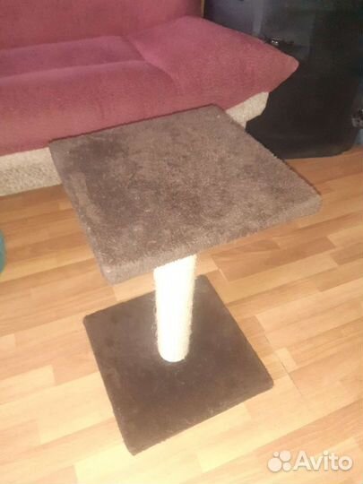 Когтеточка