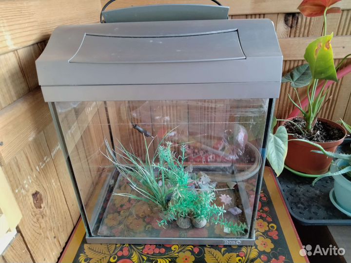 Аквариум Tetra 30 л