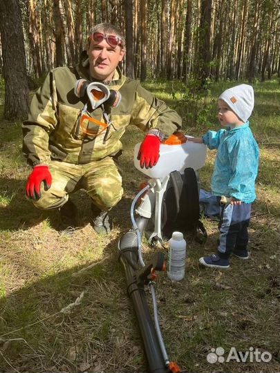 Уничтожение клопов тараканов дезинсекция