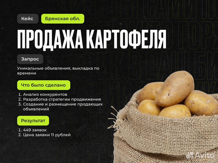 Авитолог / Авитолог с гарантией результата