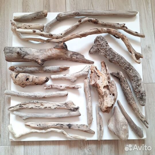 Дрифтвуд чёрного моря (набор)