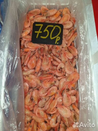Креветка магаданская северная