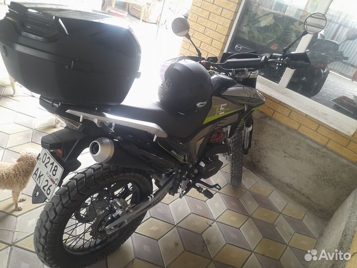 Regulmoto те 300