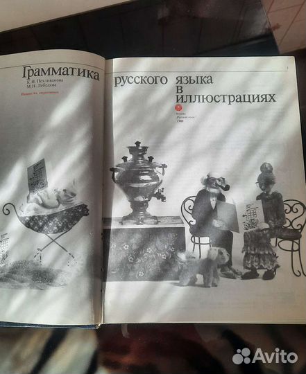 Грамматика русского языка в картинках