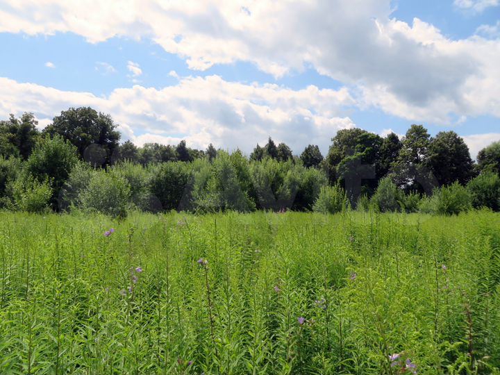 Участок 11 сот. (ИЖС)