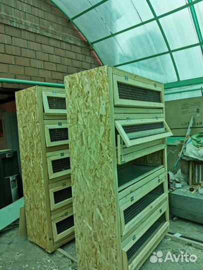 Брудер Клетки Шкаф для молодых птенцов