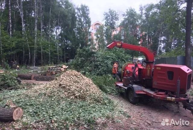 Измельчитель веток аренда, Расчистка участка