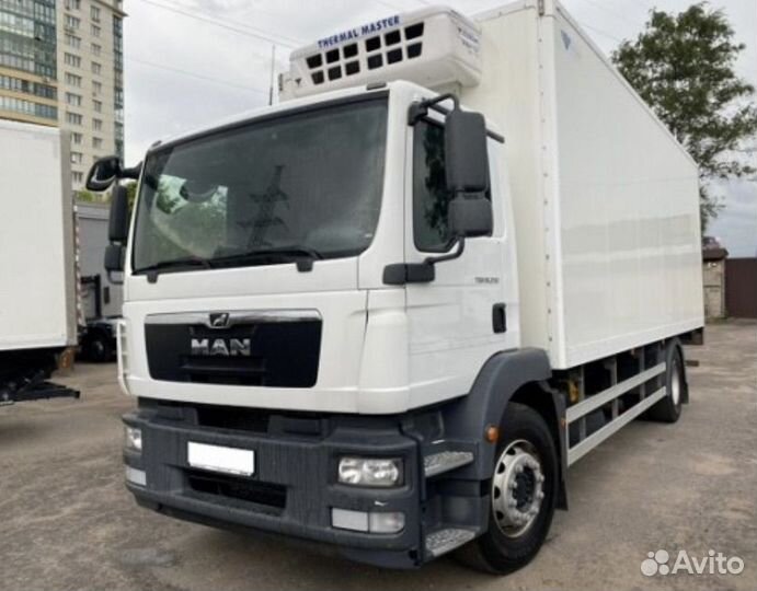 Man TGL TGM LEE разбор