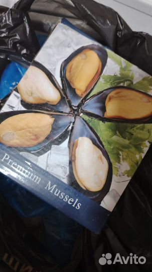 Форель, семга, мидии