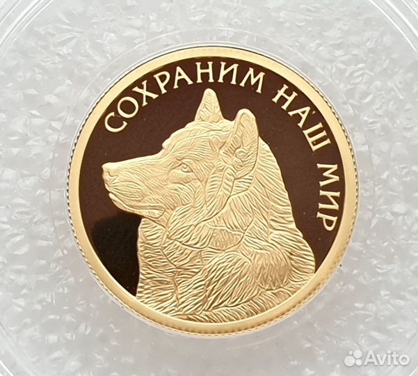 50 рублей 2020 Волк Сохраним наш мир тираж 1000