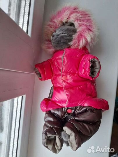 Комбинезон зимний для собаки