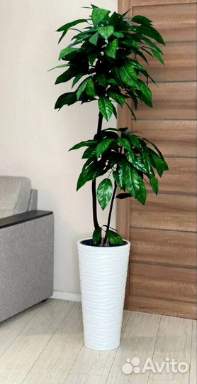 Искусственное дерево mango