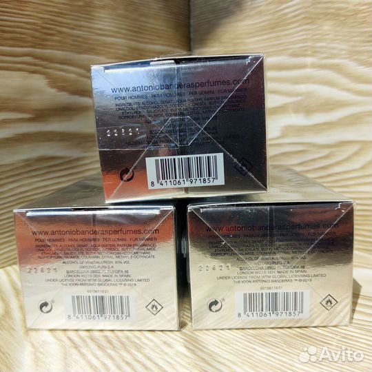 Antonio banderas The Icon