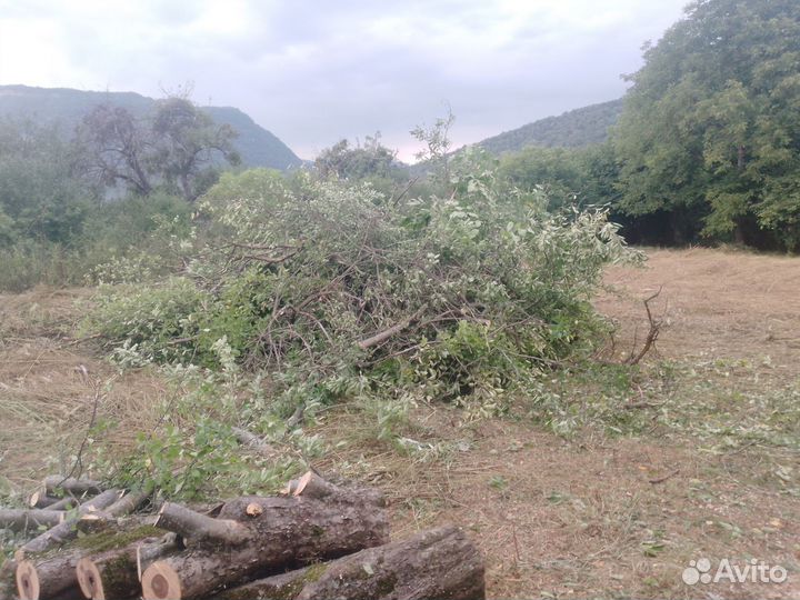 Покос травы, спил деревьев