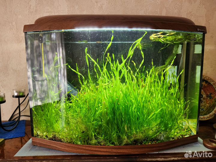 Аквариум 70 литров