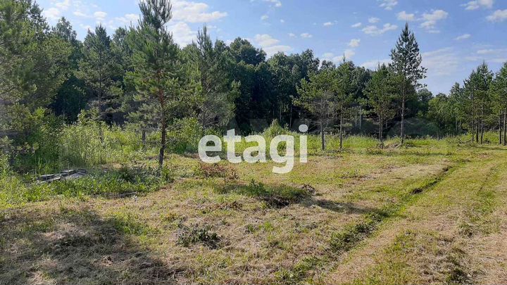 Участок 40 сот. (СНТ, ДНП)