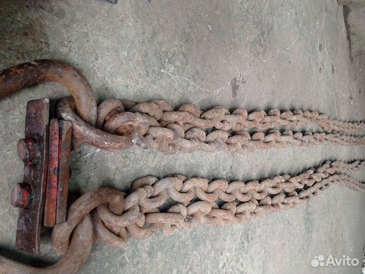 Паук цепной