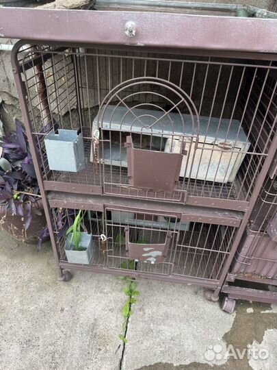 Клетка длягрызунов (шиншиллы,кролики ) металл