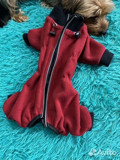 Зимний костюм для собак