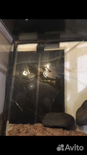 Террариум 60*60*45 см