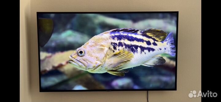 Телевизор Samsung SMART TV UE50NU7097