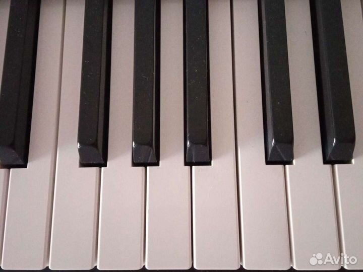 Ремонт баянов, аккордеонов и гармоней