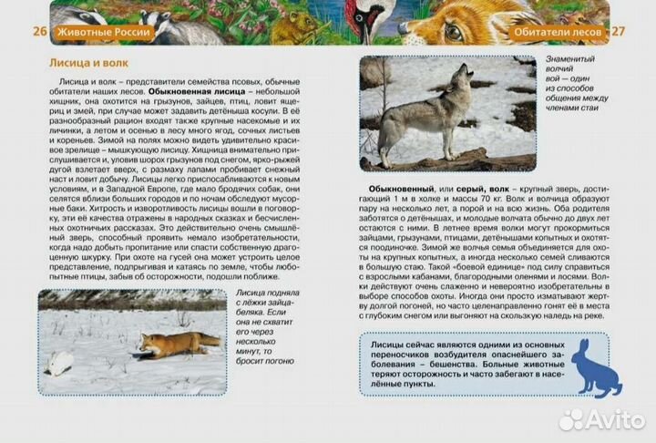 Детская энциклопедия росмэн