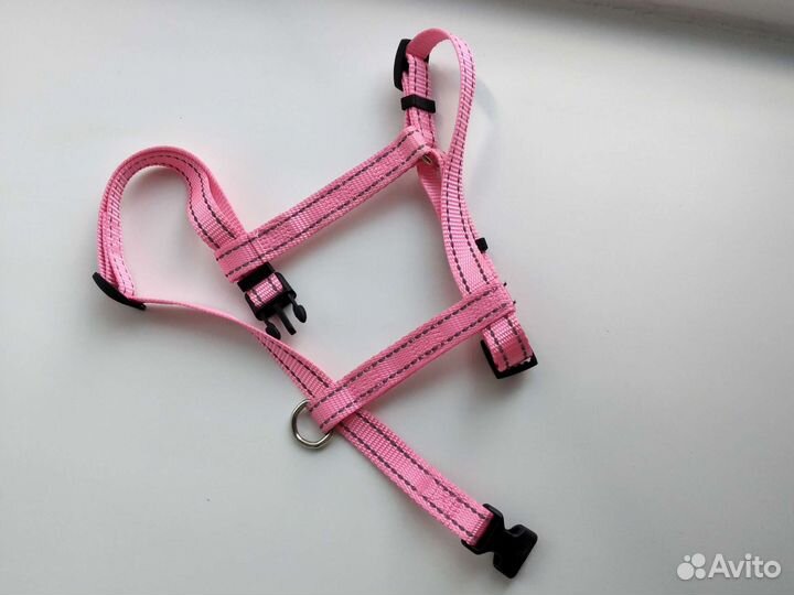 Ошейник для собак, шлейка