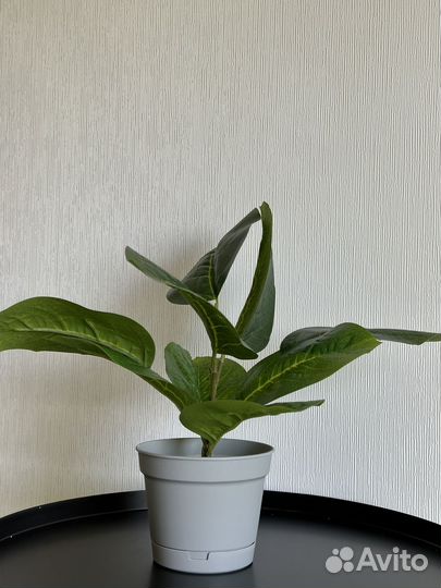 Искусственные цветы в горшках новые