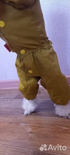 Одежда для собак мелких пород