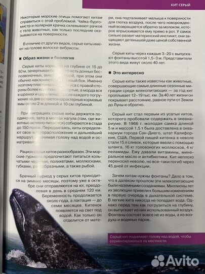 Красная книга Подводный мир России