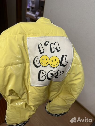 Одежда для собак